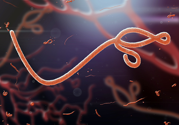 This image appears to be a 3D rendering of an Ebola virus. The virus looks like an orange treble clef or a cursive capital S with a tail that extends more than twice the length of the clef/S. Orange flecks are speckled in the foreground. The background is black, and has a smattering of other orange-colored Ebola viruses.