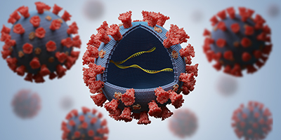 3D rendering of a few RNA viruses. The one in the center has a quarter of the top half removed, forming a little window into the inside. Inside is a few molecules of RNA. The viruses are blue/gray with red proteins on their surface (much like the spike protein of SARS-CoV-2), and the RNA molecules are yellow.