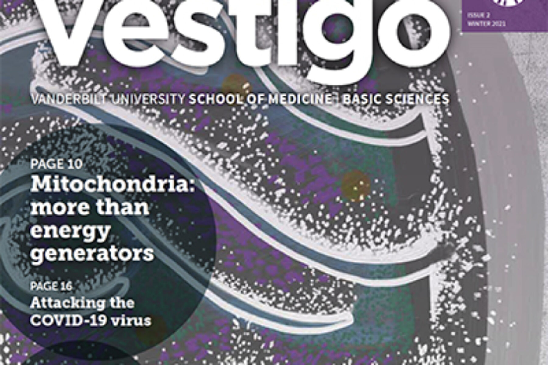 Vestigo, Issue 2