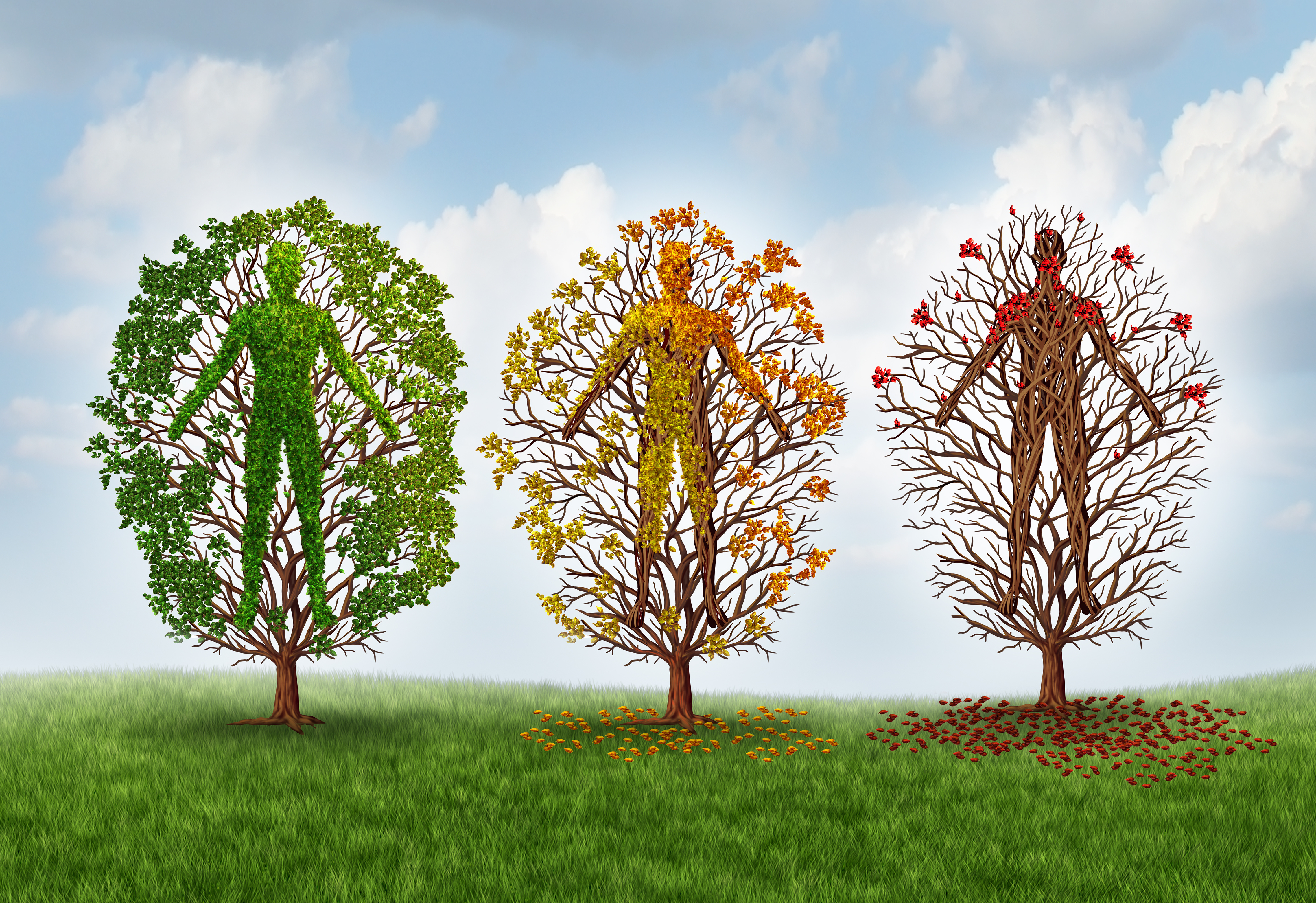 Graphic of three trees, side by side, each one with branches and leaves that make the shape of a person. The left one is green and full of foliage. The middle one is yellow and orange and has fewer leaves. The right one has only a handful of red leaves.