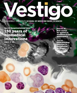 Cover of Issue 5 of Vestigo, which shows art by Kendra H. Oliver described as follows: “1920s medical illustrator Susan Wilkes’ masterful strokes join the intricate details revealed by transmission electron microscopy in the research lab of Antentor Hinton Jr. and the vibrant revelations afforded by high-powered light microscopy in the lab of Matthew Tyska.” At the top of the image is the Vestigo logo (white with the dot of the i in yellow), with “Issue 5, March 2024" printed over the g and o. “Vanderbilt University School of Medicine Basic Sciences” is below the title. On the bottom right are 3 article teasers that read as follows: “Special Sesquicentennial issue: 150 years of biomedical innovations. PAGE 4–23,” “PAGE 34-38. New centers for applied AI, excellence in mass spectrometry,” and “PAGE 30. Understanding addiction to destigmatize an illness.”