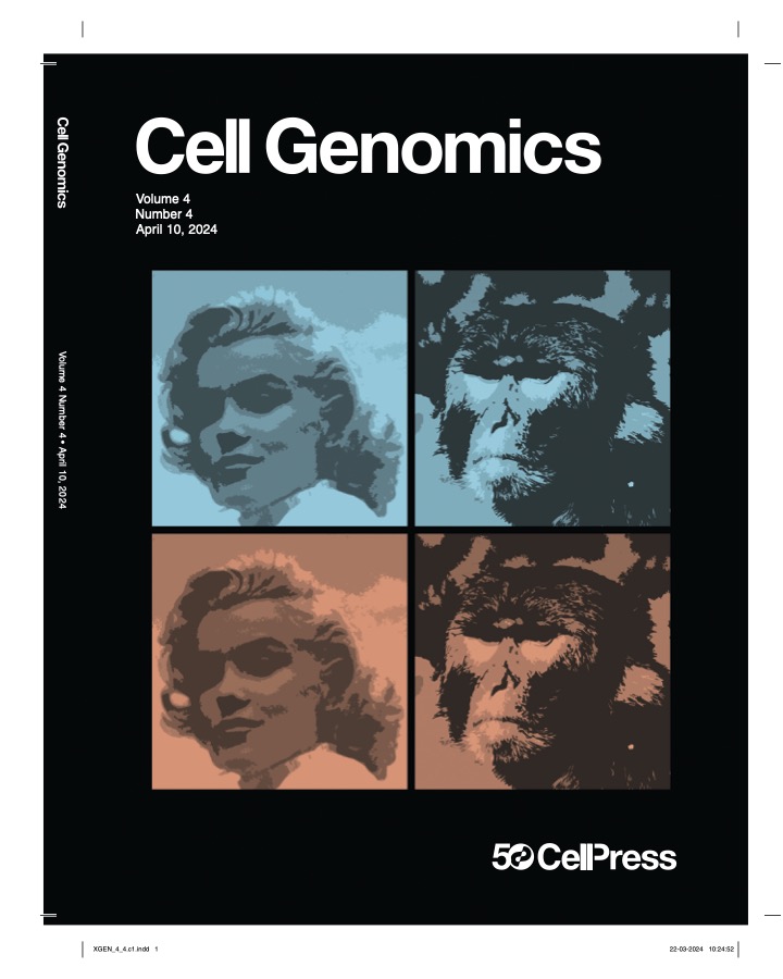 The black Cell Genomics cover of Volume 4, Number 4, April 10, 2024, which has four pop art–style panels showing Marilyn Monroe on the two left squares and a rhesus macaque on the right two squares. The top squares are blue and the bottom ones are peach. The bottom right corner says “50 CellPress.”