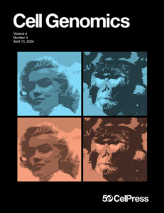 The black Cell Genomics cover of Volume 4, Number 4, April 10, 2024, which has four pop art–style panels showing Marilyn Monroe on the two left squares and a rhesus macaque on the right two squares. The top squares are blue and the bottom ones are peach. The bottom right corner says “50 CellPress.”