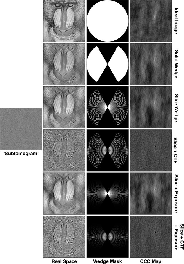 Layout of 3 images across by 6 down. The left column shows a black and white baboon face with different degrees of crispness (column labeled "real space"). The middle column shows a circle with wedge masks of different sizes. The right column shows CCC maps. The quality of the image/data improve from the bottom up.