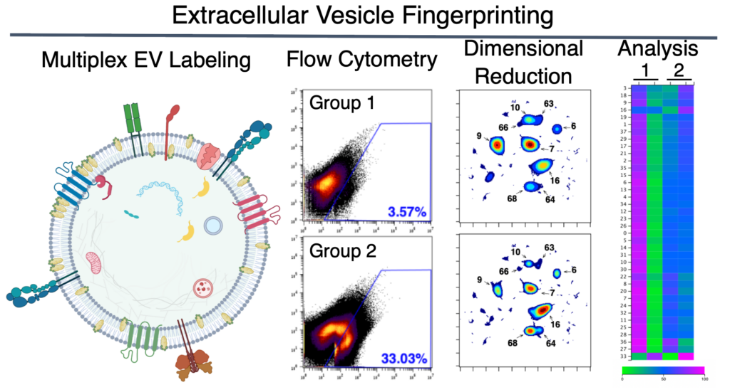 Graphical abstract for the paper describing EV Fingerprinting, titled 