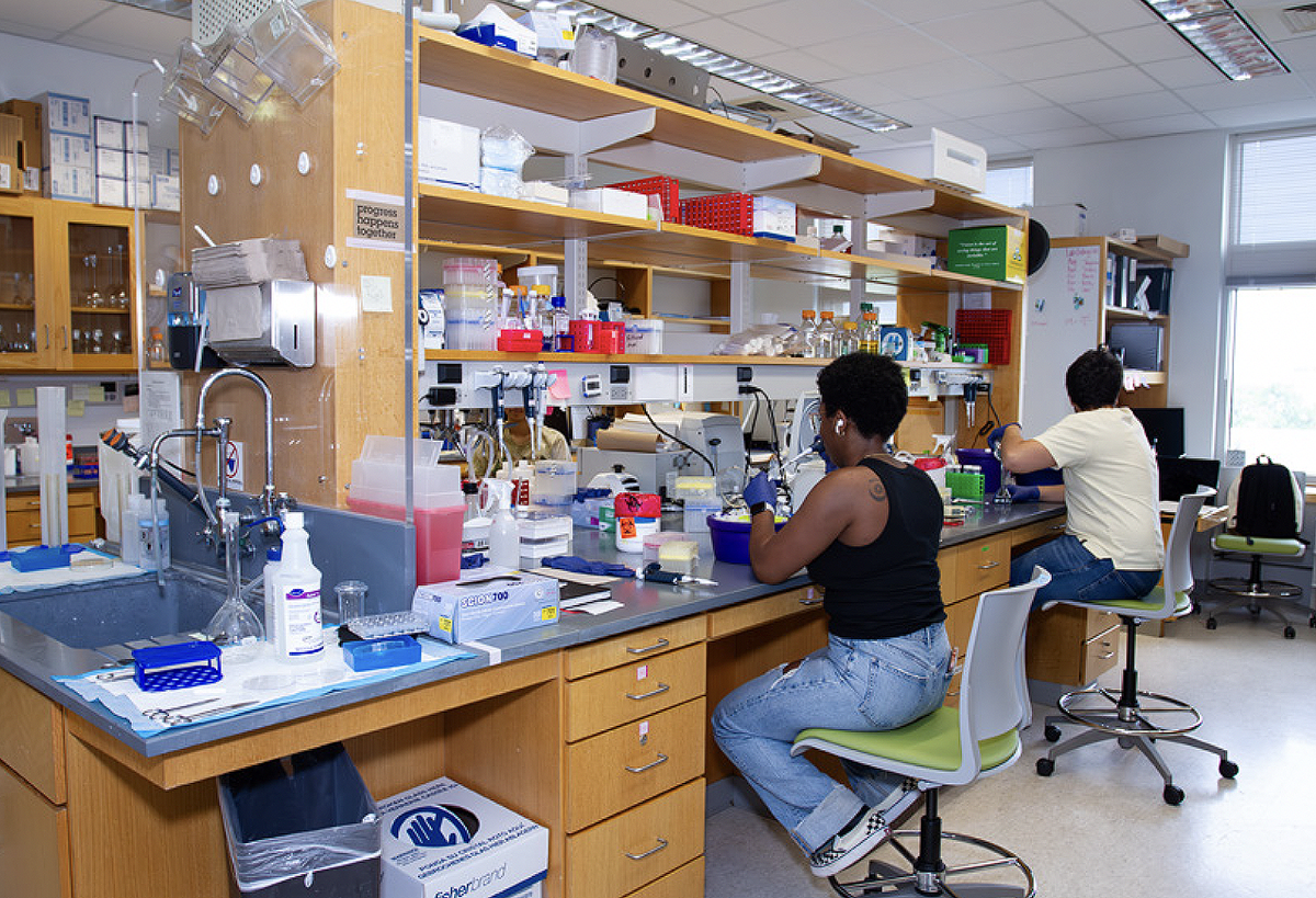 Photo of two people working at a lab bench.