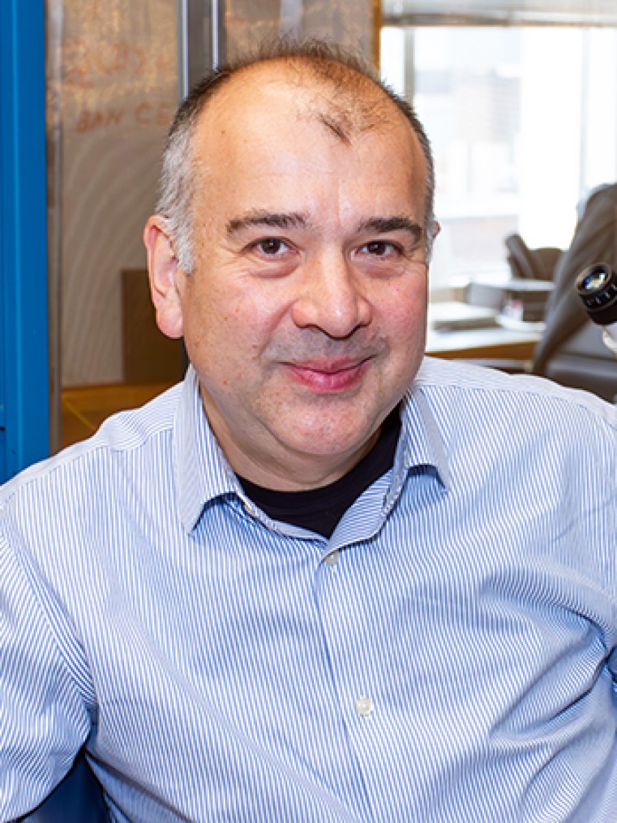Ege Kavalali 