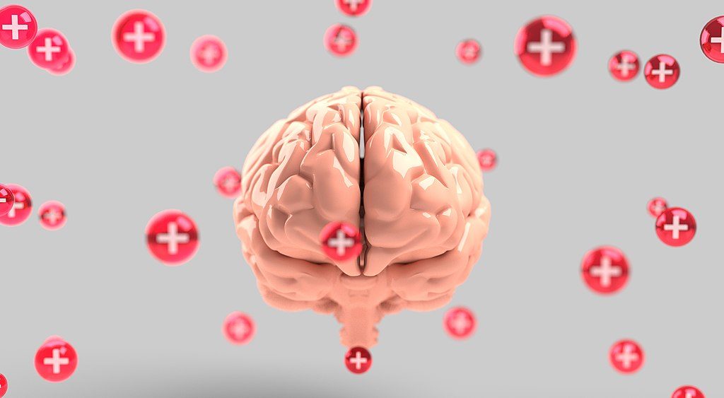 3D rendering of a brain, viewed from the coronal plane, on a gray background. Red spheres with plus signs surround the brain - some are in better focus than others, giving the image an additional 3D feel.