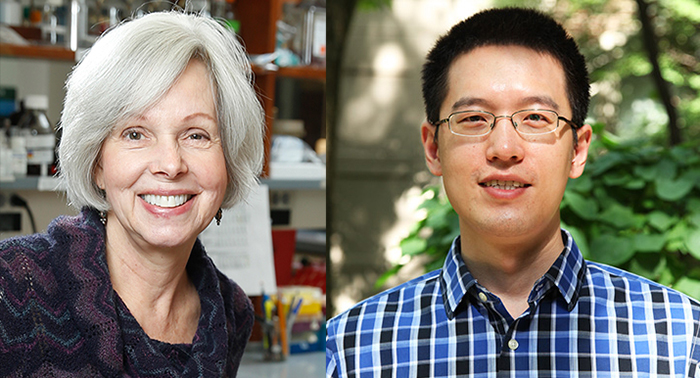 Headshots of (left-to-right) Ann Richmond wearing a dark purple and blue sweater, and Chi Yan wearing eye-glasses and a blue-and-black checkered shirt.