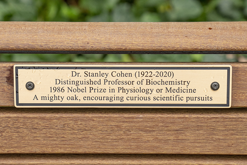 Photo of a gold-colored plaque on wood bench honoring Dr. Stanley Cohen.
