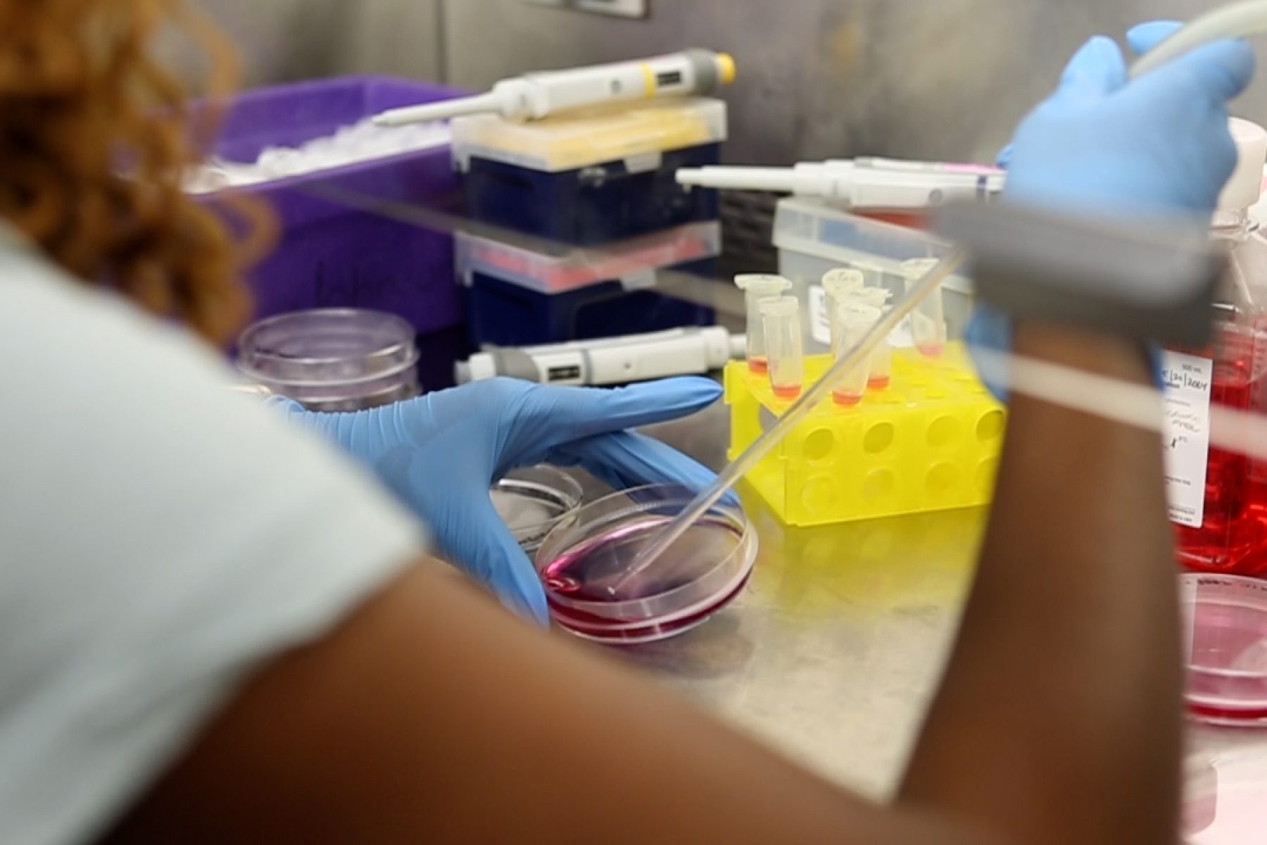 Photo Credit: Molly Niswender