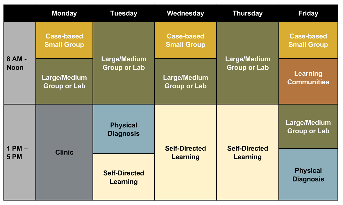 course-descriptions-curriculum-vanderbilt-university