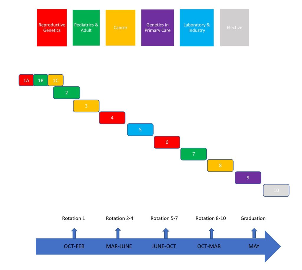 MGC practicum schedule outlines six different specialty rotation examples along a timeline of October to May. Each block is color coded.