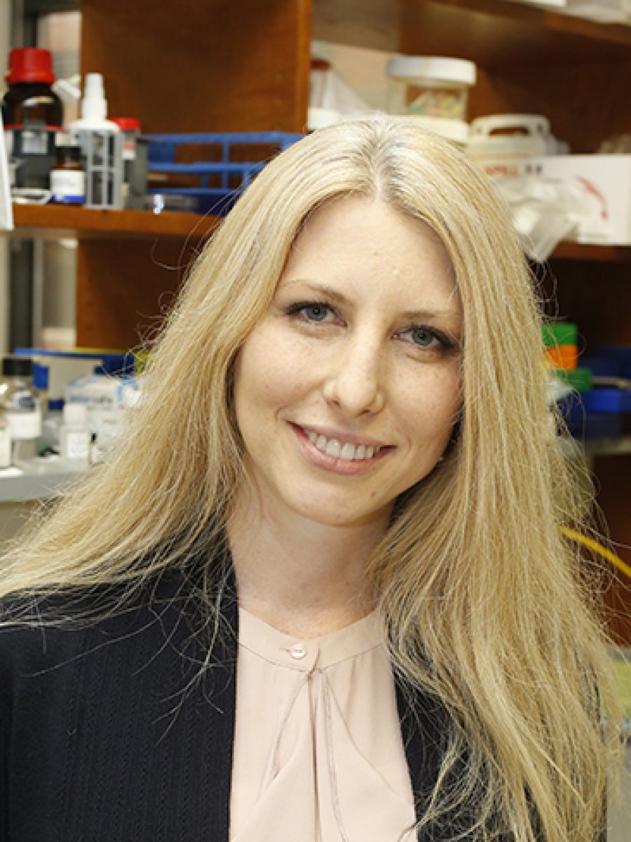 Anna E. Vilgelm, M.D., Ph.D.