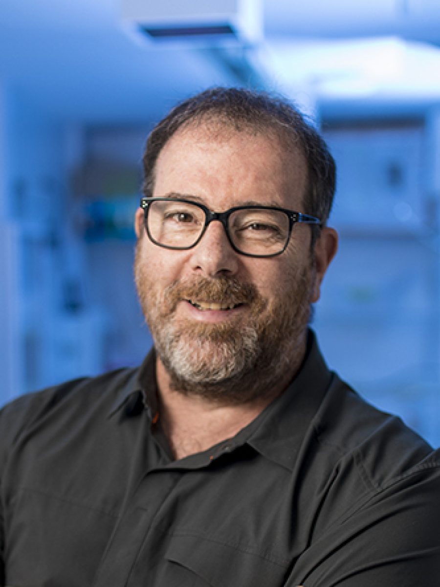 Laurence Zwiebel, Ph.D.