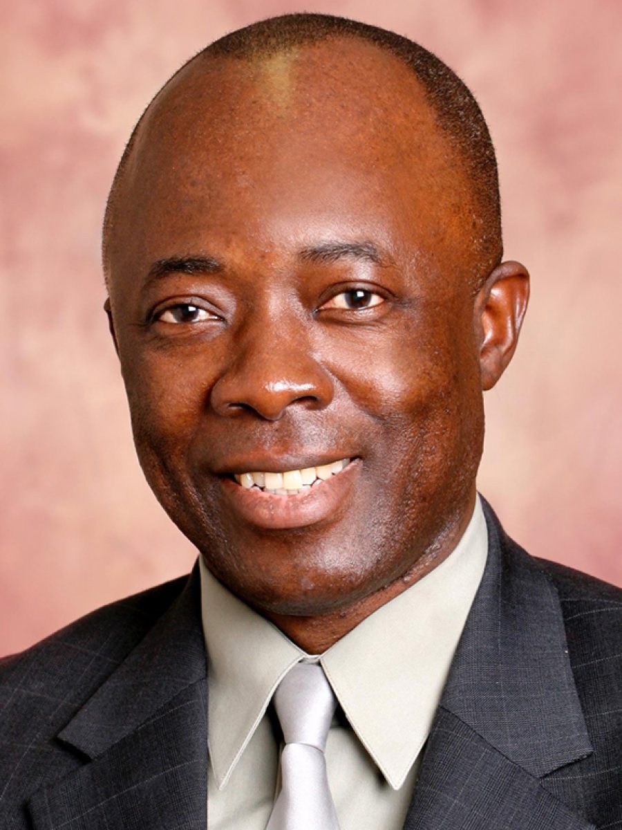 Sanika S. Chirwa, M.D., Ph.D.