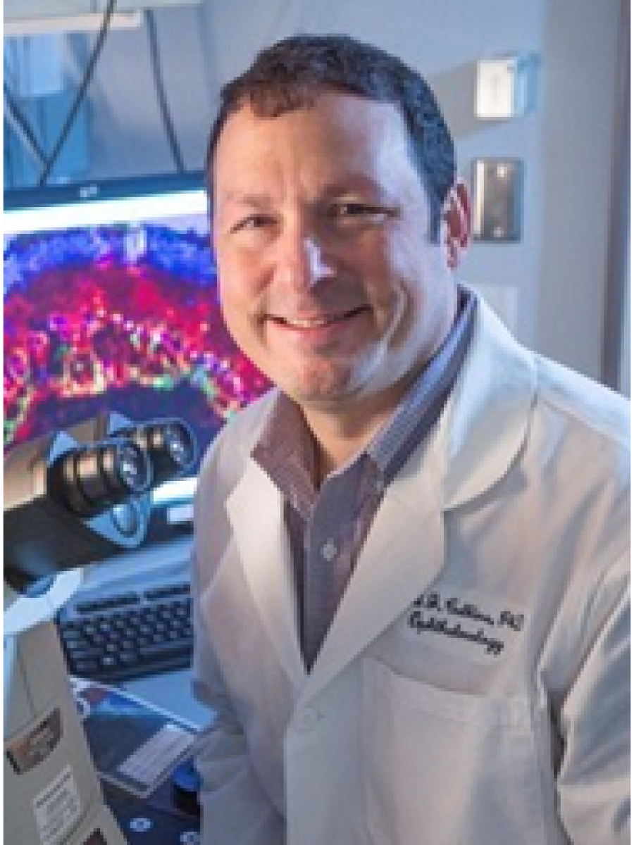 David Calkins, Ph.D.