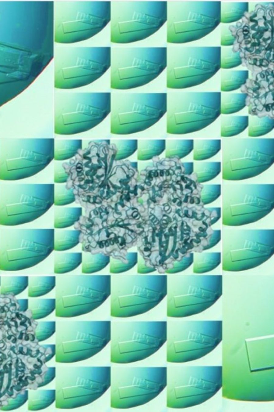 Photo Credit: Margo Goldfarb, Iverson Lab