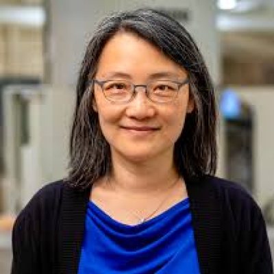 Mei Hong, Massachusetts Institute of Technology