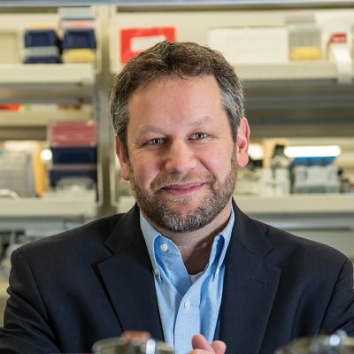 Andrew Goodman, Yale University