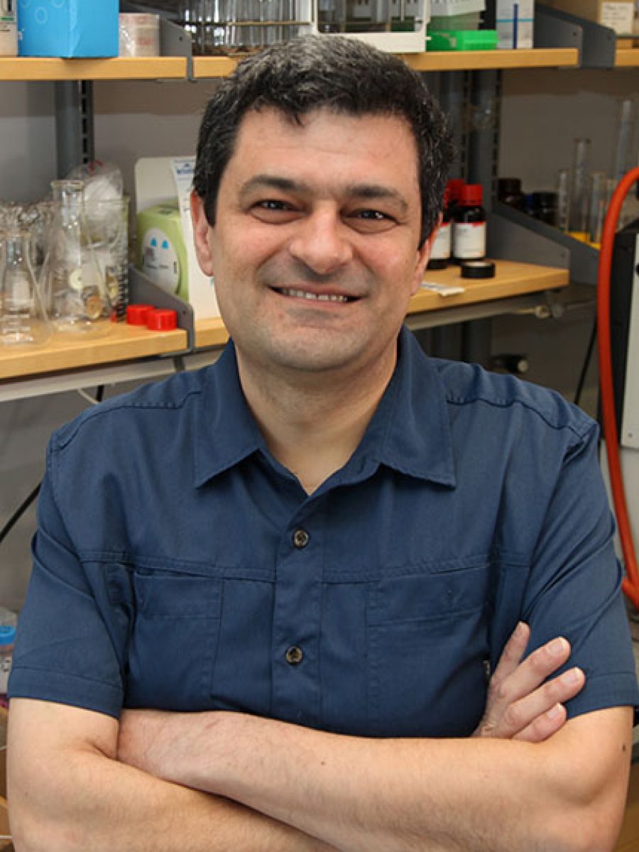 Plamen Christov, Ph.D.