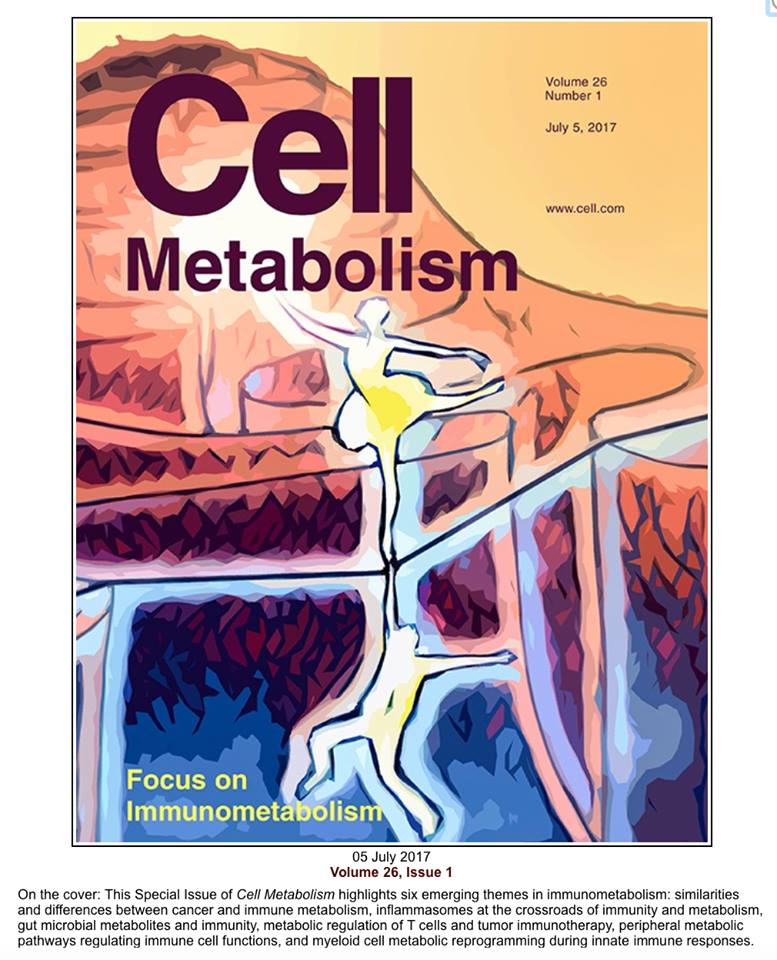 Ayaka cover of cell metabolism (1).jpg