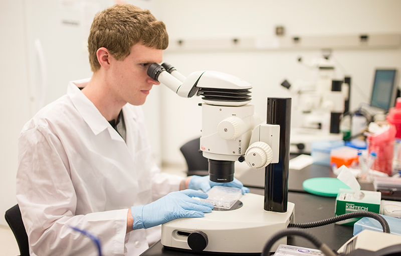 Basic Sciences Giving